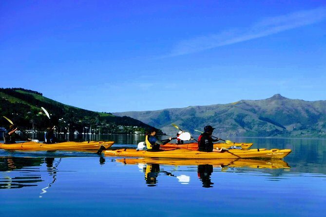 Electric Mountain Bike & Sea Kayak Tour in Akaroa - Exploring the Electric Mountain Bike & Sea Kayak Tour in Akaroa: An In-Depth Review