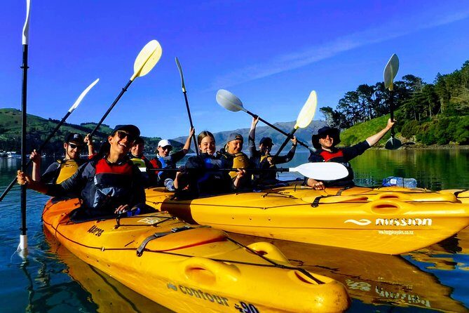 Electric Mountain Bike & Sea Kayak Tour in Akaroa - Who Is This Tour Best For?