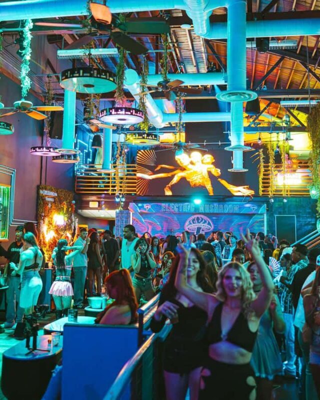 Electric Mushroom: Nightclub VIP Entry & Free Cocktail - The Music and Dancing Experience