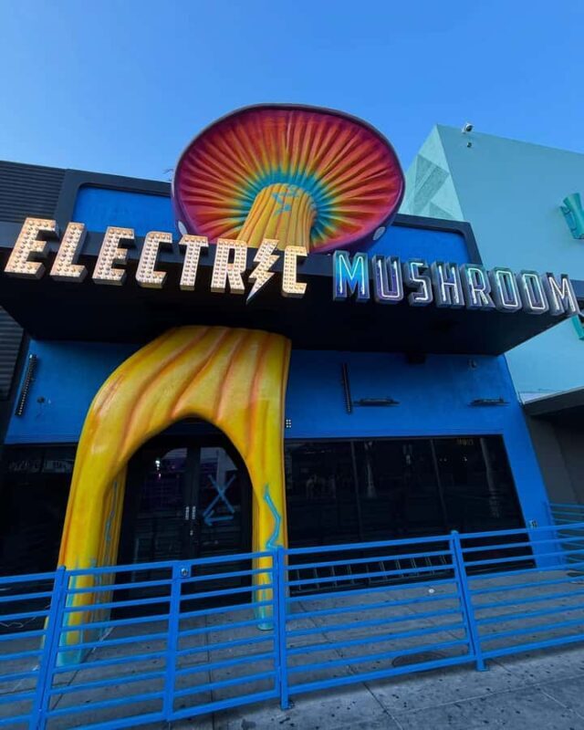 Electric Mushroom: Nightclub VIP Entry & Free Cocktail - Who Would Love This Experience?