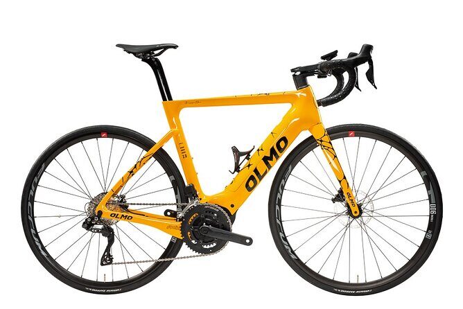 Electric Olmo E-bro 2.0 E-race Bike 500W Rental in Tenerife - Why Choose the Electric Olmo E-bro 2.0 in Tenerife?