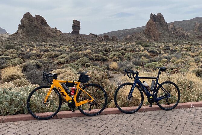 Electric Olmo E-bro 2.0 E-race Bike 500W Rental in Tenerife - Practical Details & Tips