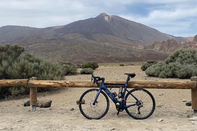 Electric Olmo E-bro 2.0 E-race Bike 500W Rental in Tenerife - Authentic Insights from Past Renters