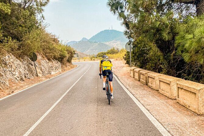 Electric Olmo E-bro 2.0 E-race Bike 500W Rental in Tenerife - Who Is This Tour Best For?