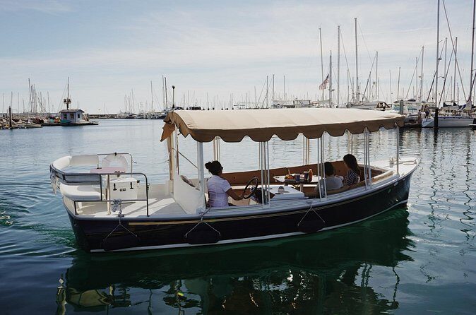 Electric Private Charter Boat in Santa Barbara - Practical Considerations