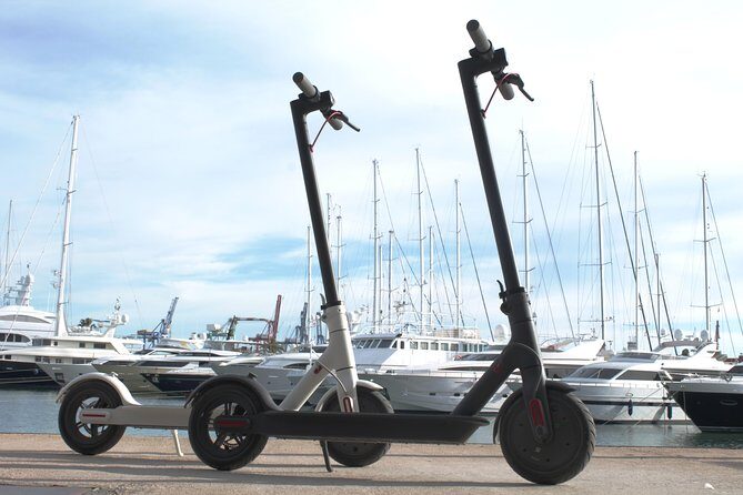 Electric Scooter Rental - What to Expect During Your Ride
