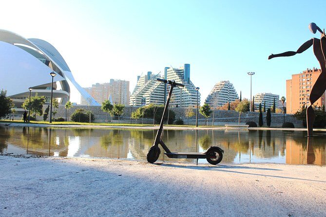 Electric Scooter Rental - Pricing and Value for Money