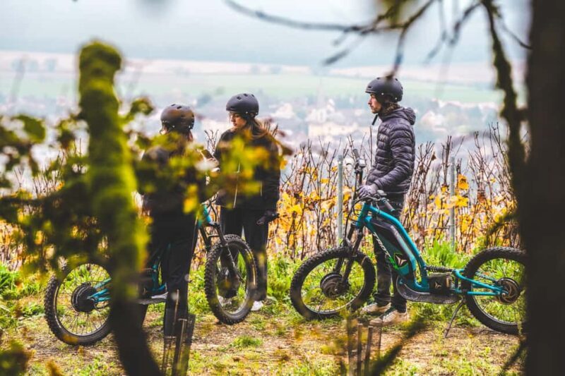 Electric scooter tour and wine tasting at Château de Chamirey - Key Points