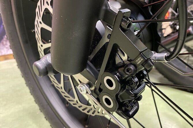 Electric scooter tour in Hossegor - Who Will Love This Tour?