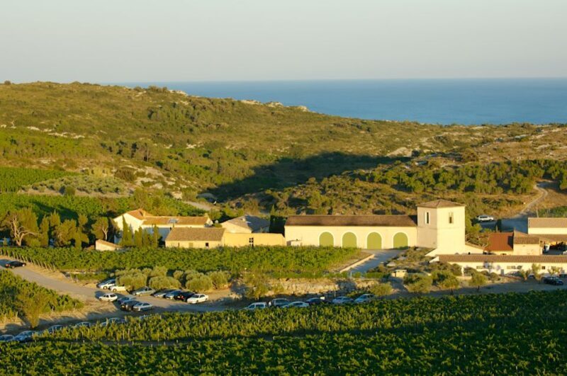 Electric Scooter Tour of our vineyard and Wine Tasting - An In-Depth Look at the Experience