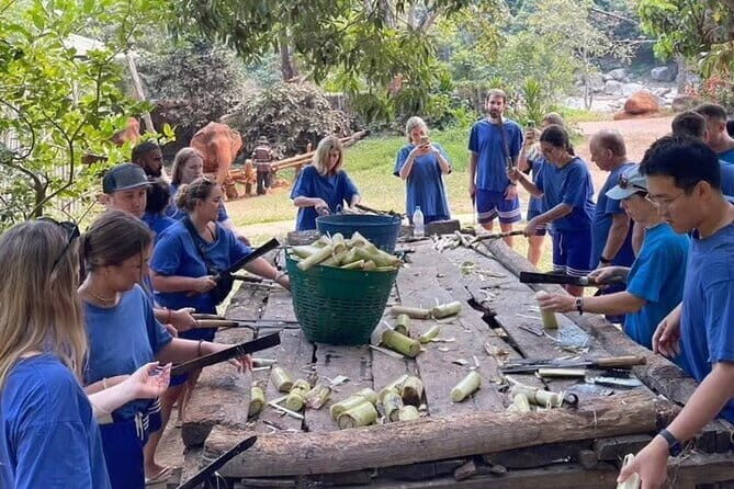 Elephant Care and Sticky Waterfalls (Bua Thong Waterfalls) Tour - An In-Depth Look at the Experience
