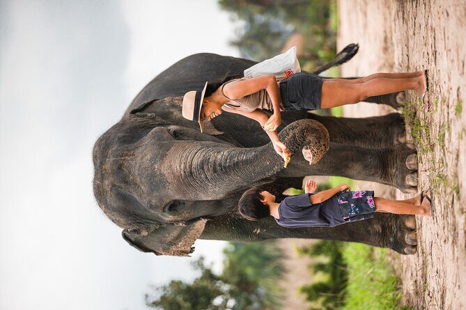 Elephant Jungle Sanctuary: Half Day Morning Program - Who Should Consider This Tour?