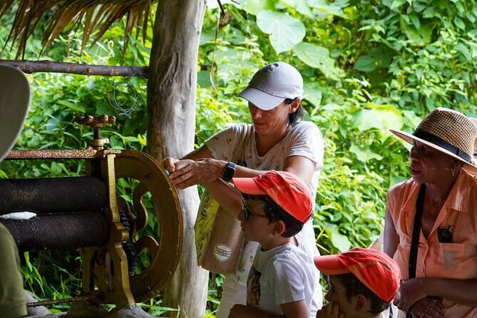 Elephant Nature Experience with Lunch at Bukit Elephant Park - Key Points