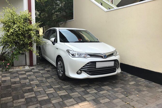 Elephant Pass City to Anuradhapura City Private Transfer - Who Should Consider This Service?