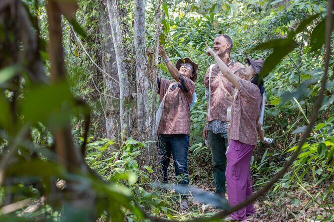 Elephant Sanctuary Small Group Tour in Phuket - The Sum Up