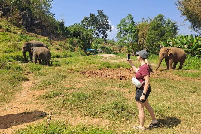 Elephant Sanctuary, Wat Ban Den & Sticky Waterfall - The Sum Up