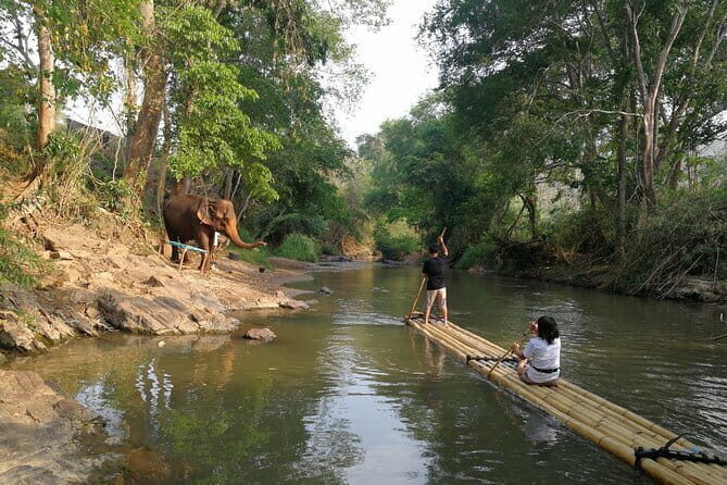 Elephant Sanctuary + Waterfall + Bamboo Rafting One Day Trip - Key Points