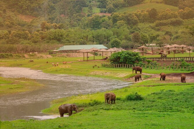 Elephant Sanctuary + Waterfall + Bamboo Rafting One Day Trip - Detailed Review of the Tour Itself