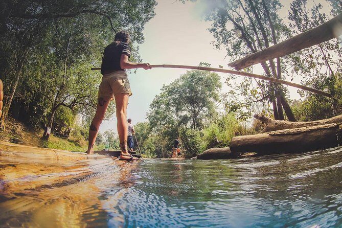 Elephant Sightings , Bamboo Rafting Through The Jungle, Swimming In a Waterfall - A Day in the Jungle: What to Expect from the Tour