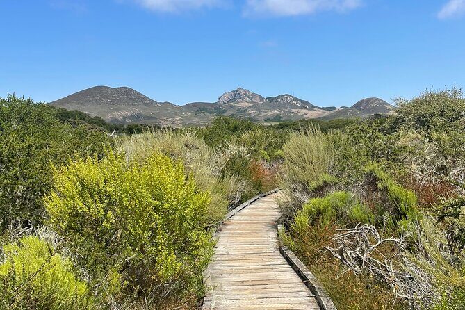 Elfin Forest Nature Tour with Local Sweet and Savory Tasting - Why You’ll Love the El Moro Elfin Forest Tour