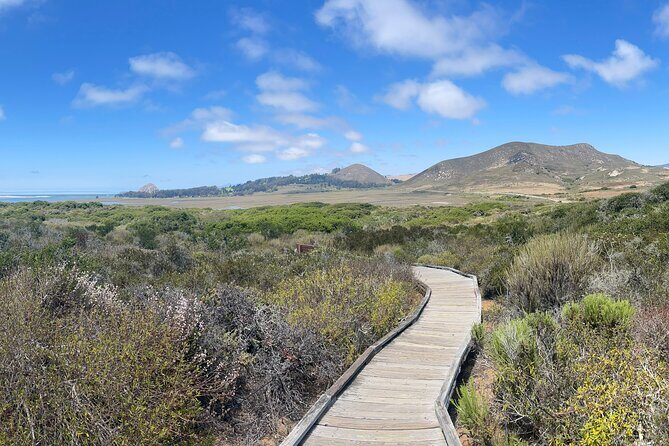 Elfin Forest Nature Tour with Local Sweet and Savory Tasting - Frequently Asked Questions