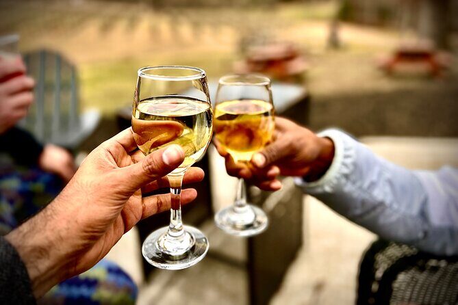 Elijay Hike w/ Waterfall & Wine Tasting Private Tour from ATL - The Perfect Introduction to Georgia’s Mountain Region