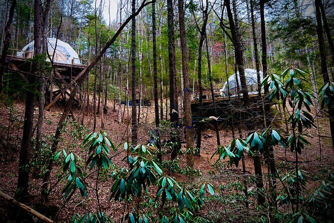 Elijay Hike w/ Waterfall & Wine Tasting Private Tour from ATL - The Itinerary: A Day in Nature and Nibbles
