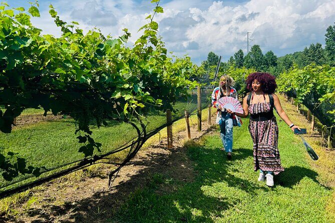 Elijay Three Vineyards Private Wine Tasting Tour from Atlanta - Exploring the Elijay Three Vineyards Private Wine Tasting Tour from Atlanta
