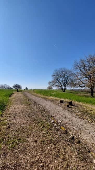 Elis: Tour of the Ancient Site & Museum by an Archaeologist - FAQs