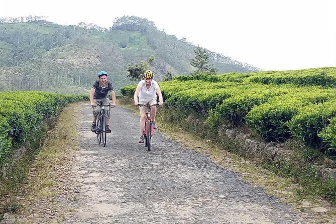 Ella Cycling Tour - What to Expect from the Ella Cycling Tour
