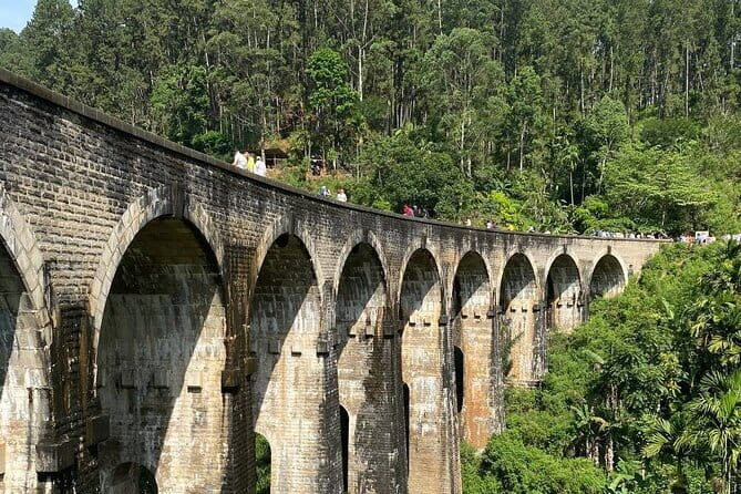Ella Day Tour with Scenic Train Ride From Hikkaduwa - An In-Depth Look at the Ella Day Tour from Hikkaduwa