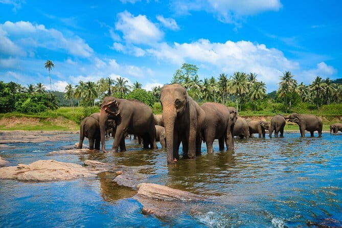Ella Hotel to Anuradhapura Hotel Transfers - Final Thoughts