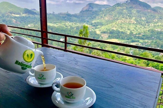 Ella Private Day Tour From Kandy - Transport and Comfort: Why It Matters