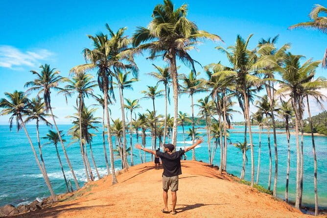 Ella to Mirissa,Weligama,Ahangama (Private Transfer ) - The Sum Up