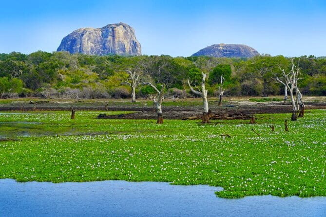 Ella To Yala National Park Private Transport - Who Should Consider This Service?