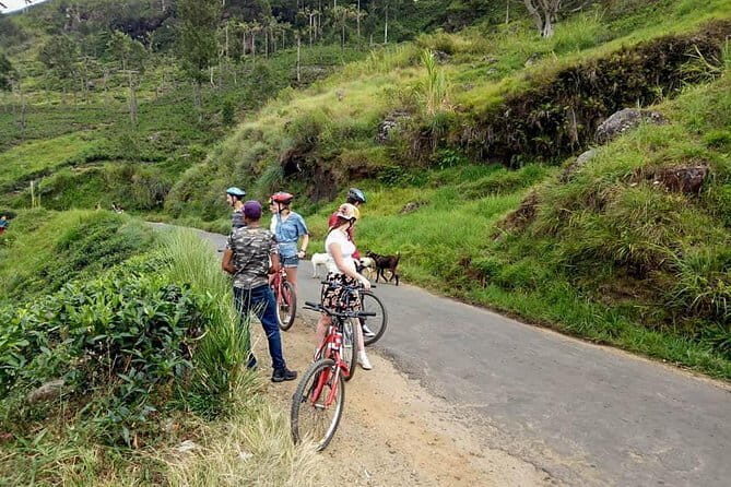 Ellawala Waterfall Cycling Tour from Ella - Who is This Tour Perfect For?
