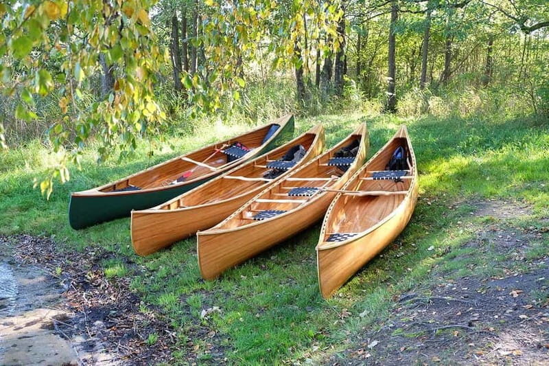 emaitija National Park: Full-Day Canoe Tour with Picnic - Authentic Experiences from Reviewers