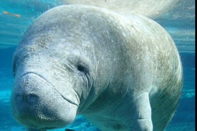 Set out on a Professional and Passionate Scuba Diving Adventure!" - Why This Scuba Experience Matters