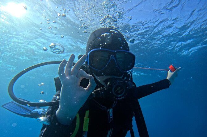 Set out on a Professional and Passionate Scuba Diving Adventure!" - Authentic Experiences from Reviewers