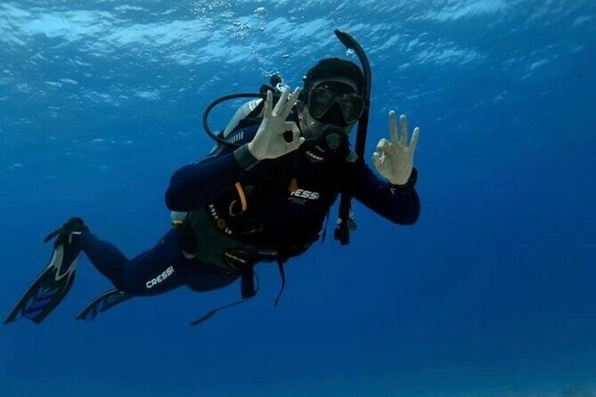 Set out on a Professional and Passionate Scuba Diving Adventure!" - Who Should Book This Tour?