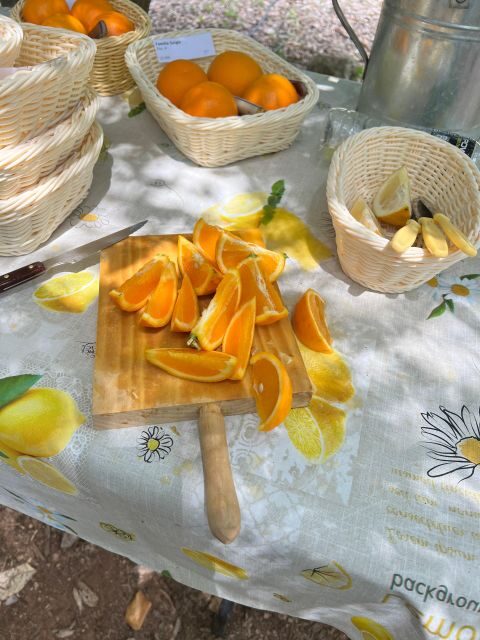 Embrace the enchantment of Mallorca's almond blossom season - The Sum Up