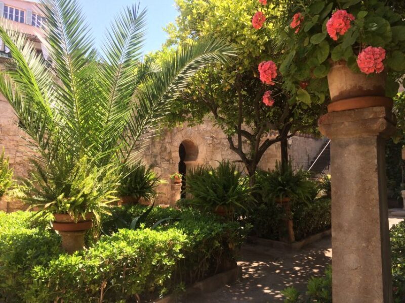 Embrace the enchantment of Mallorca's almond blossom season - FAQ