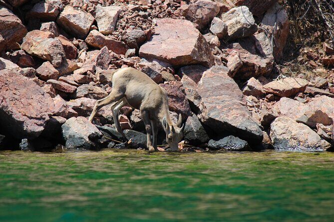 Emerald Cave Paddleboard RentalSelf-Drive Colorado River SUP - FAQs