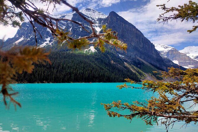 Emerald Lake Moraine Lake Louise Natural Bridge from Banff - Who Should Consider This Tour?