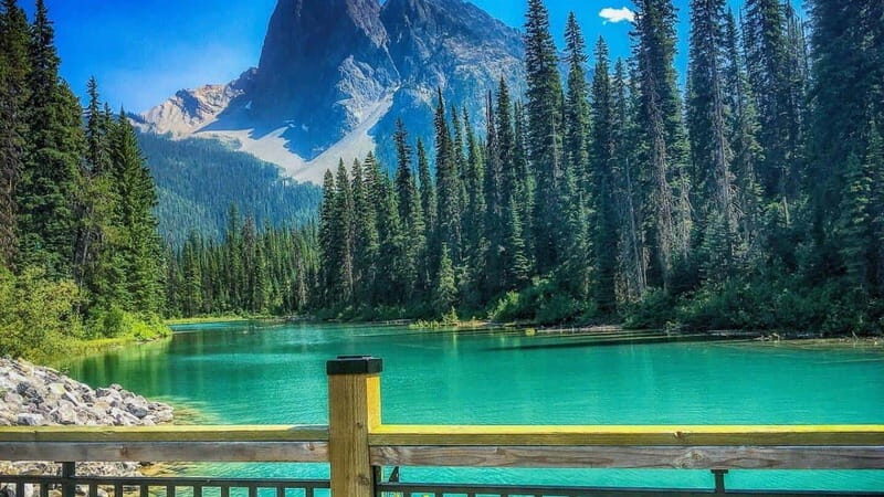 Emerald Lake, Moraine, Louise, Johnston Canyon & Banff Town - What to Expect on this Full-Day Rockies Adventure