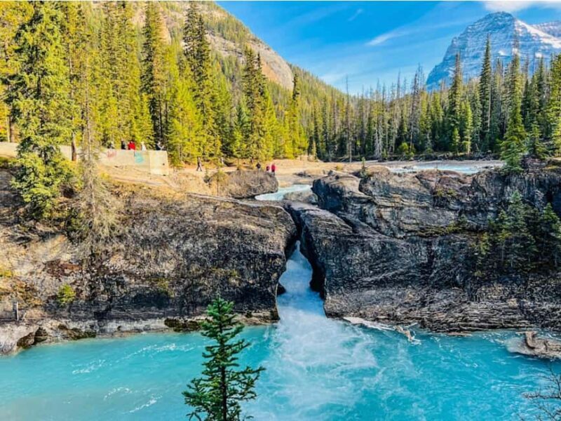 Emerald Lake, Wapta Falls & Takakkaw Falls in Yoho - Key Points