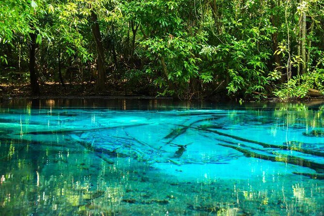 Emerald Pool: Jungle Tour, Private Full Day with Lunch - Key Points