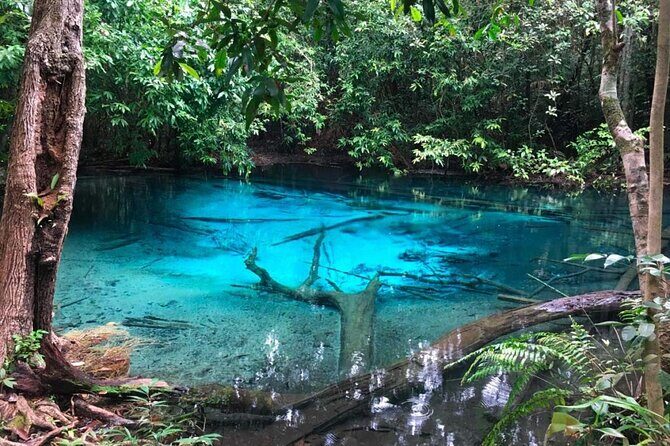 Emerald Pool: Jungle Tour, Private Full Day with Lunch - Exploring the Itinerary: What You Can Expect