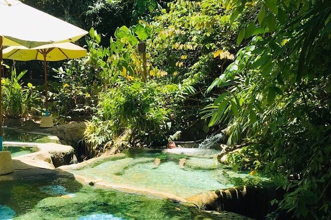 Emerald Pool: Jungle Tour, Private Full Day with Lunch - Who Would Love This Tour?