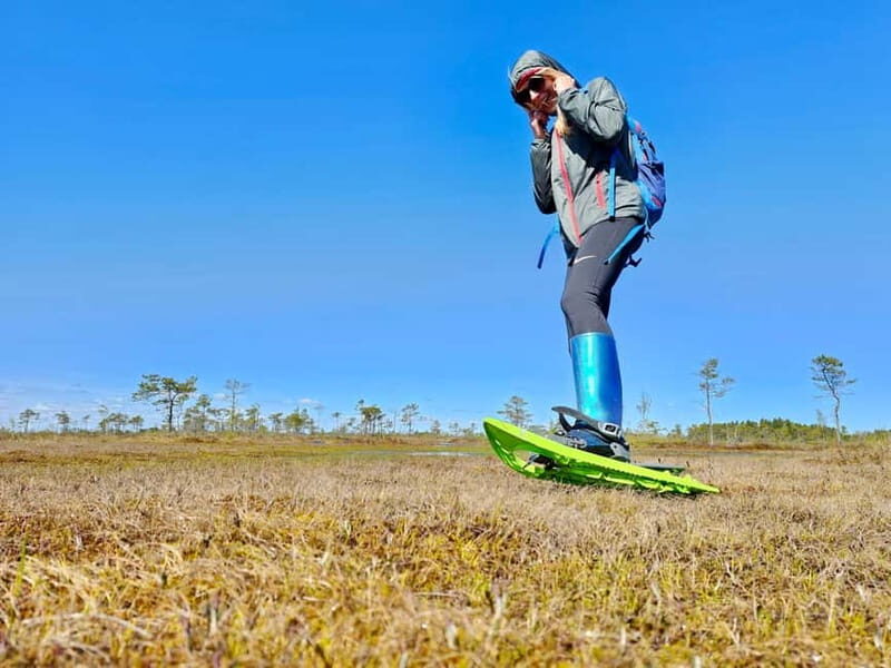 emeri Bogs Adventure: Explore Wetlands In Bog Shoes - A Detailed Look at the Tour Experience